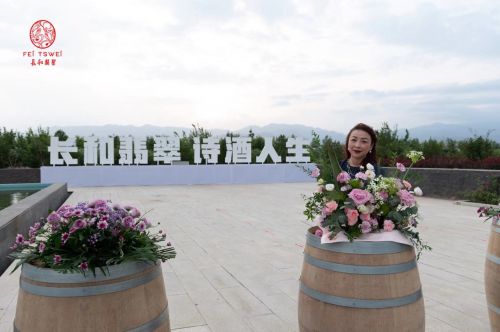 华东百利酒庄赤霞珠红葡萄价格酒_宁夏葡萄酒文化_宁夏葡萄产业发展局