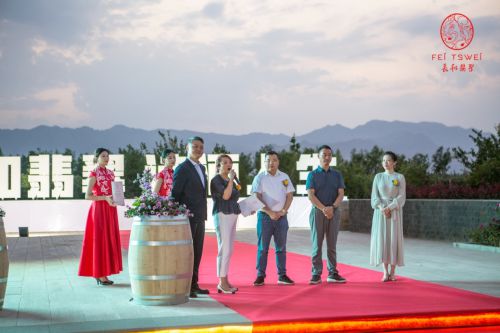 宁夏葡萄酒文化_宁夏葡萄产业发展局_华东百利酒庄赤霞珠红葡萄价格酒