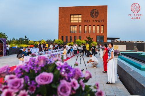 宁夏葡萄酒文化_宁夏葡萄产业发展局_华东百利酒庄赤霞珠红葡萄价格酒