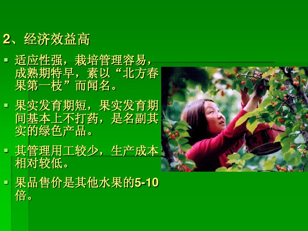 君顶酒庄葡萄酒价格_葡萄与葡萄酒文化论文_酒葡萄做葡萄酒做法