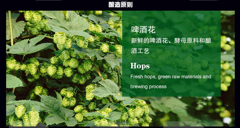 54度湘泉馥郁香型白酒_馥郁香型白酒 标准_湘泉酒52度馥郁香白酒