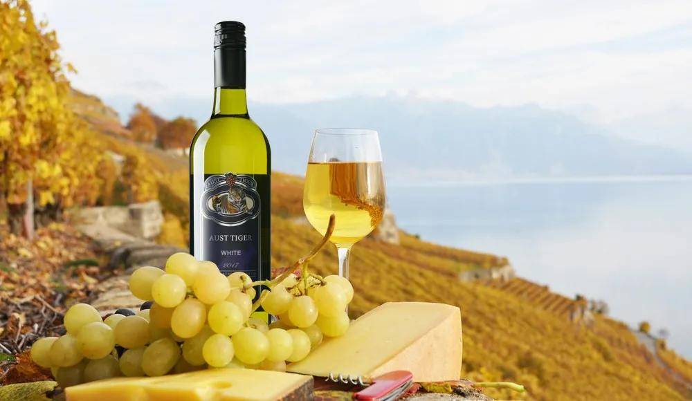 红木文化与鉴赏论文_葡萄酒文化鉴赏论文_葡萄酒文化鉴赏论文