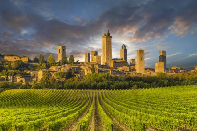 法国，葡萄酒界逆袭者？继续说法国葡萄酒的崛起之路