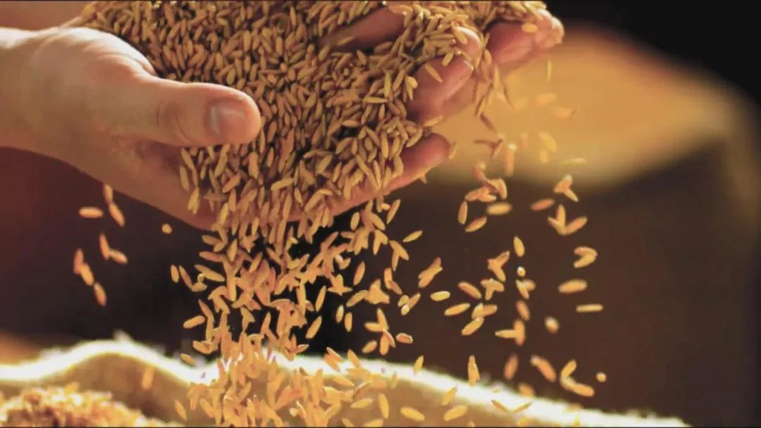 江西四特酒营销有限责任公司_江西四特酒有限责任公司_江西四特酒官网