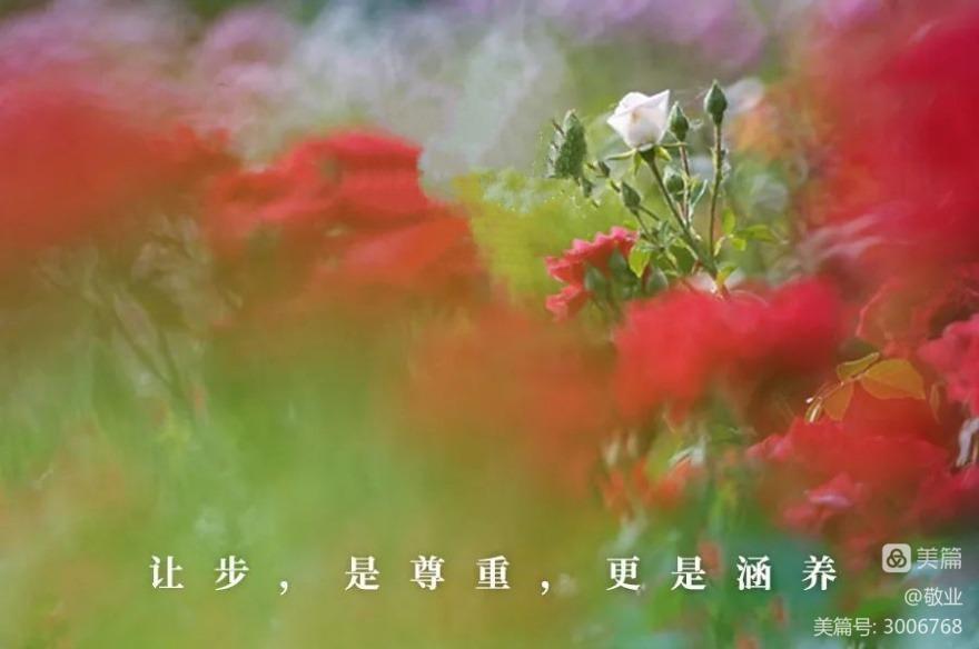 觚竹文化酒_酒文化图片_花香 酒醇 诗意浓 花文化二探