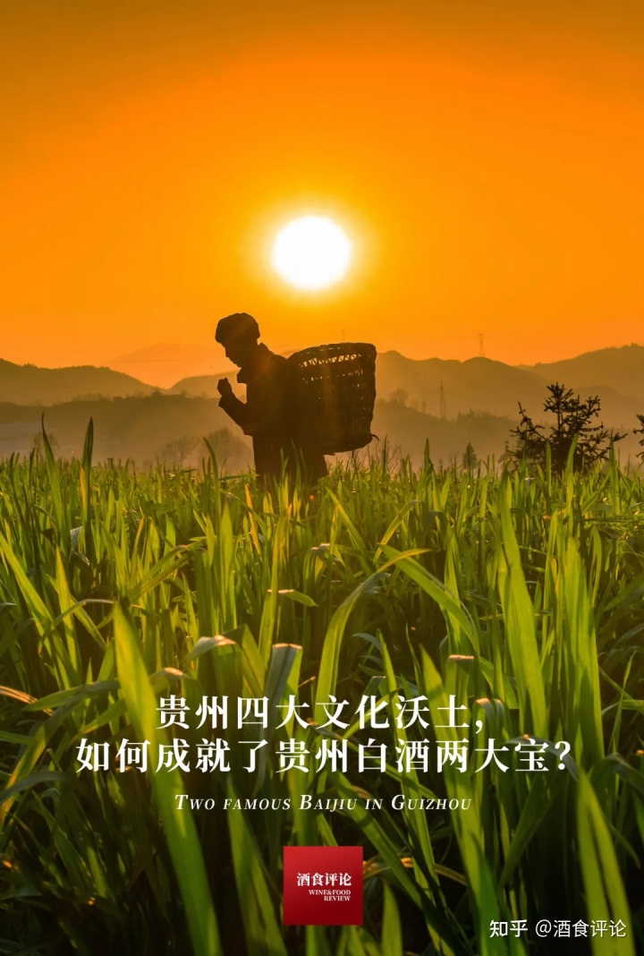 酒和陶渊明文化性格的关系_觚竹文化酒_酒文化图片