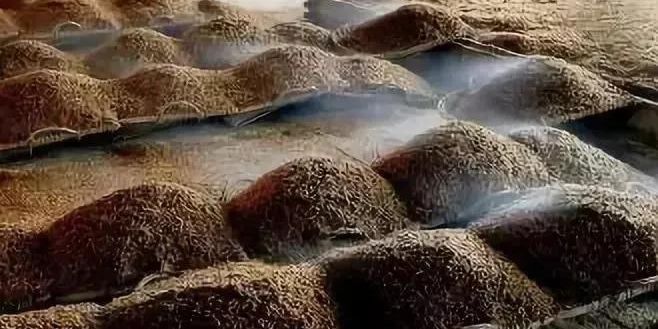 白酒包装标准_白酒包装_白酒 包装