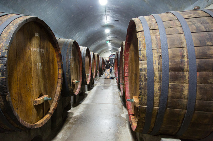 酒文化浮雕_关于酒神的文化_学校文化浮雕人名砖墙