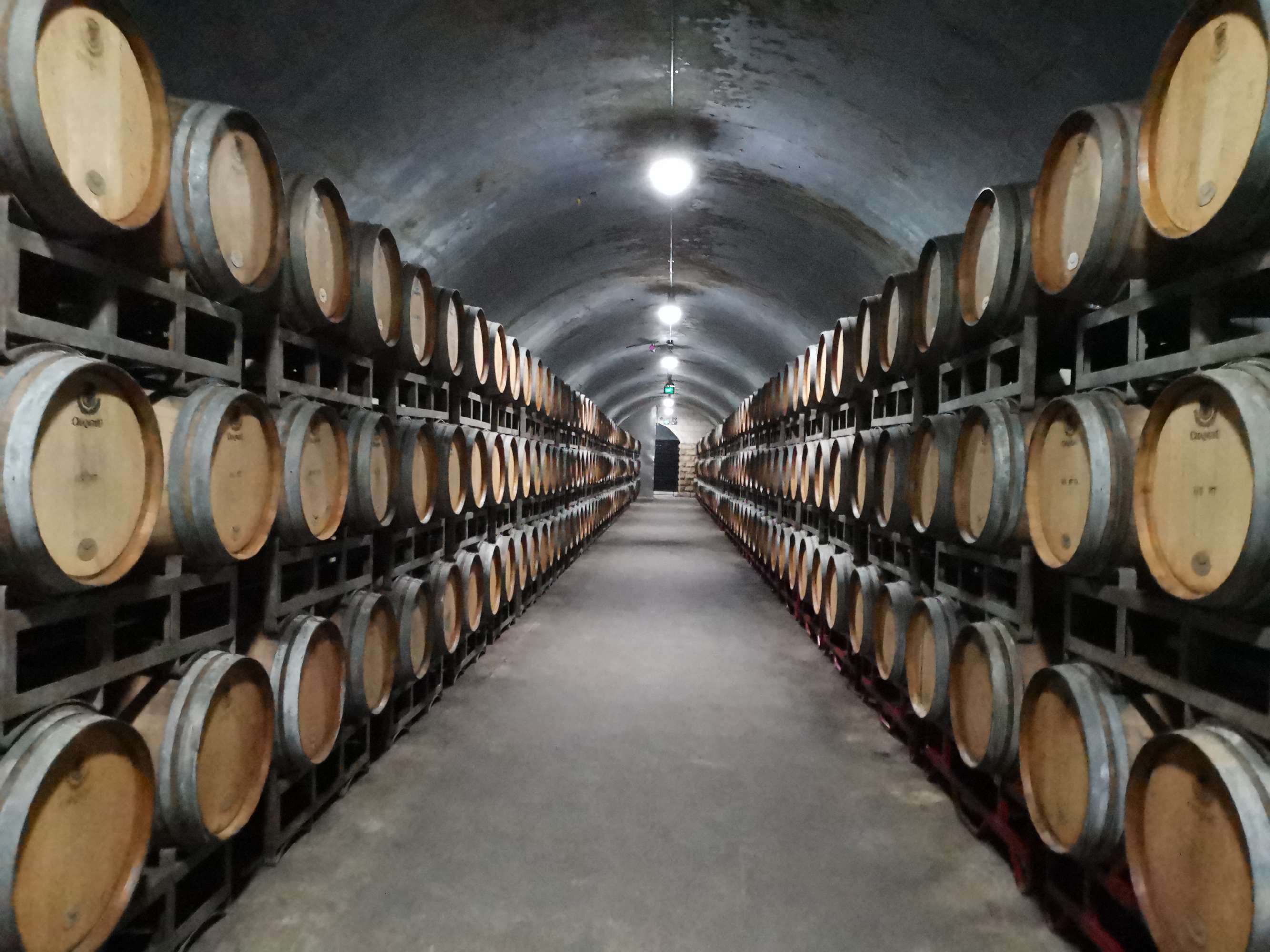 学校文化浮雕人名砖墙_关于酒神的文化_酒文化浮雕