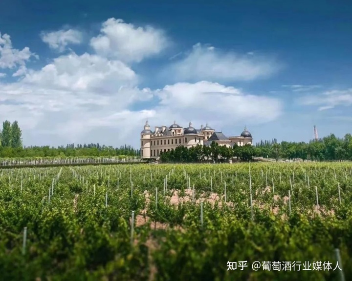 世界品牌价值榜_世界酒品牌排行榜_山楂酒品牌排行