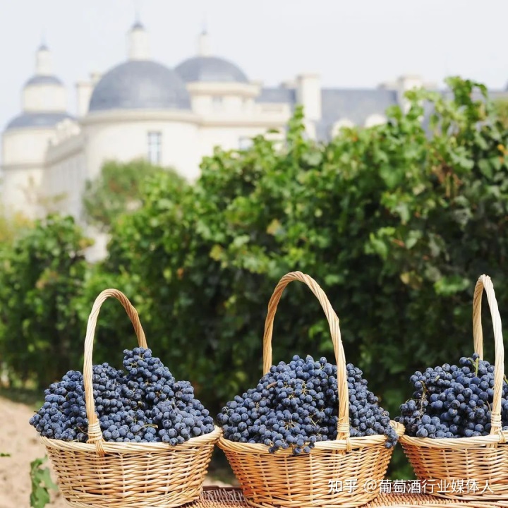 世界品牌价值榜_山楂酒品牌排行_世界酒品牌排行榜