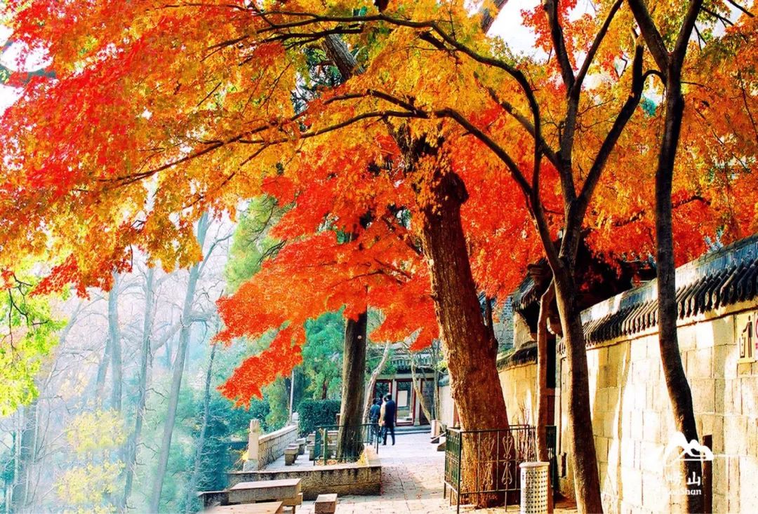 张裕酒文化博物馆住宿_丹佛艺术博物设计师馆_张裕爱斐堡酒庄住宿