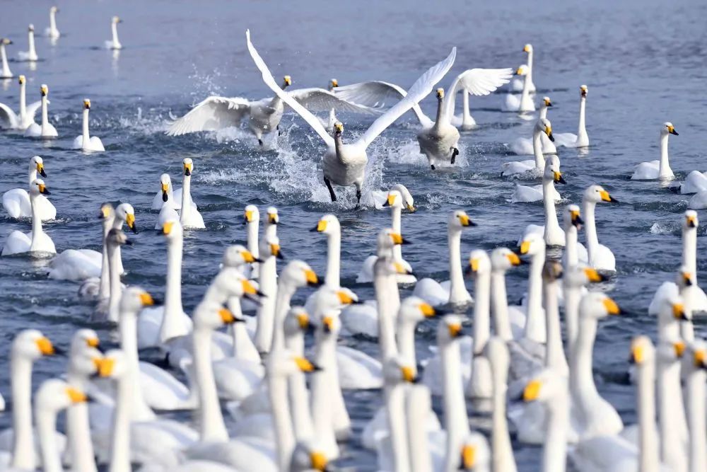 丹佛艺术博物设计师馆_张裕酒文化博物馆住宿_张裕爱斐堡酒庄住宿