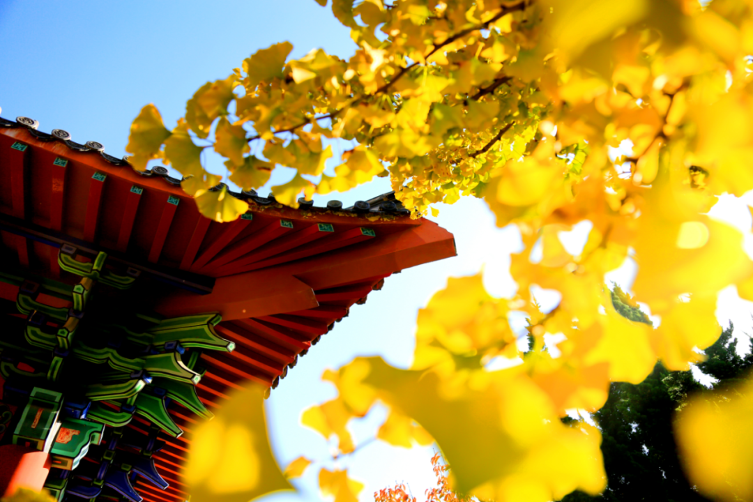 丹佛艺术博物设计师馆_张裕爱斐堡酒庄住宿_张裕酒文化博物馆住宿