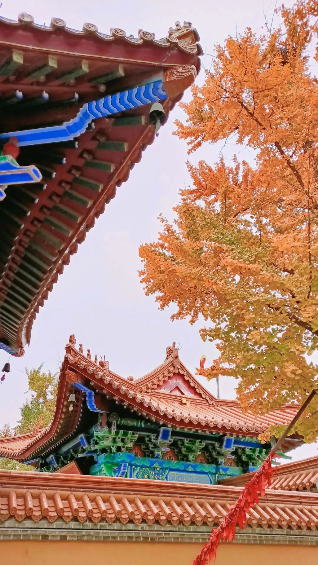 张裕酒文化博物馆住宿_张裕爱斐堡酒庄住宿_丹佛艺术博物设计师馆