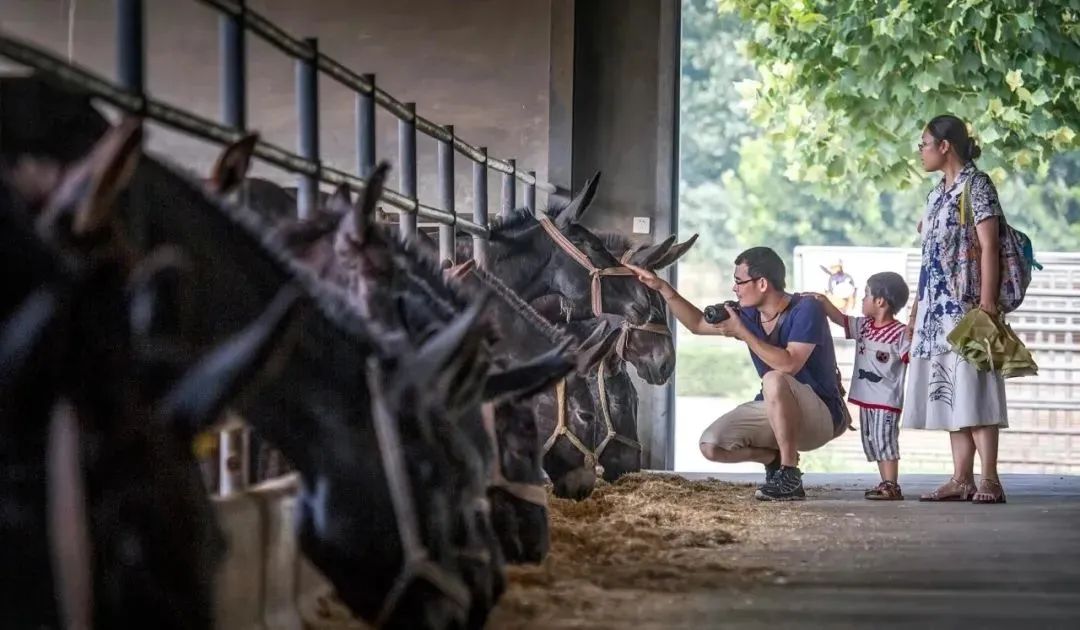 张裕爱斐堡酒庄住宿_丹佛艺术博物设计师馆_张裕酒文化博物馆住宿