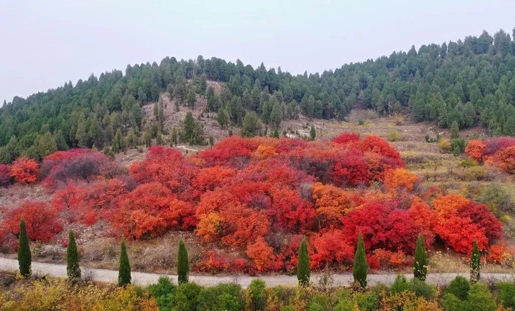 丹佛艺术博物设计师馆_张裕爱斐堡酒庄住宿_张裕酒文化博物馆住宿