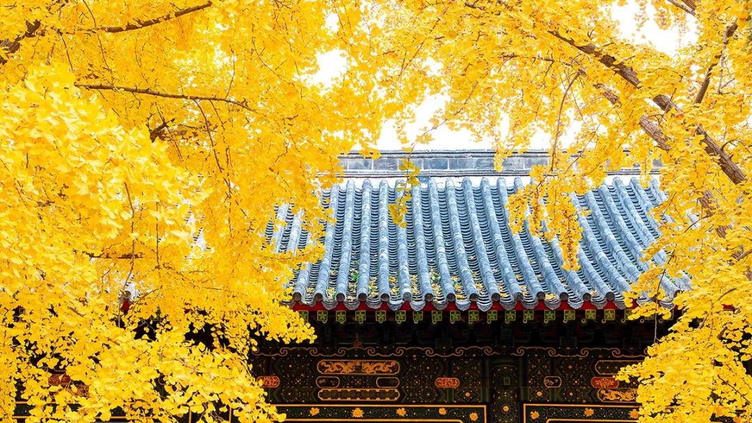 丹佛艺术博物设计师馆_张裕酒文化博物馆住宿_张裕爱斐堡酒庄住宿