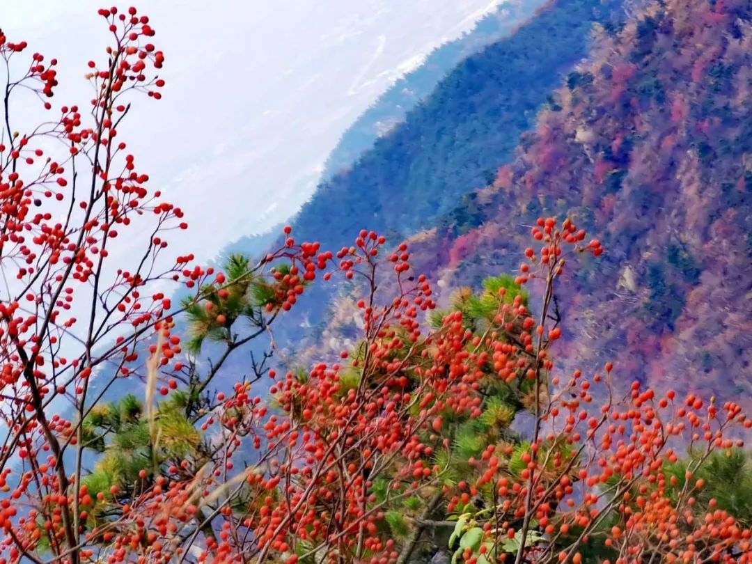 张裕爱斐堡酒庄住宿_张裕酒文化博物馆住宿_丹佛艺术博物设计师馆