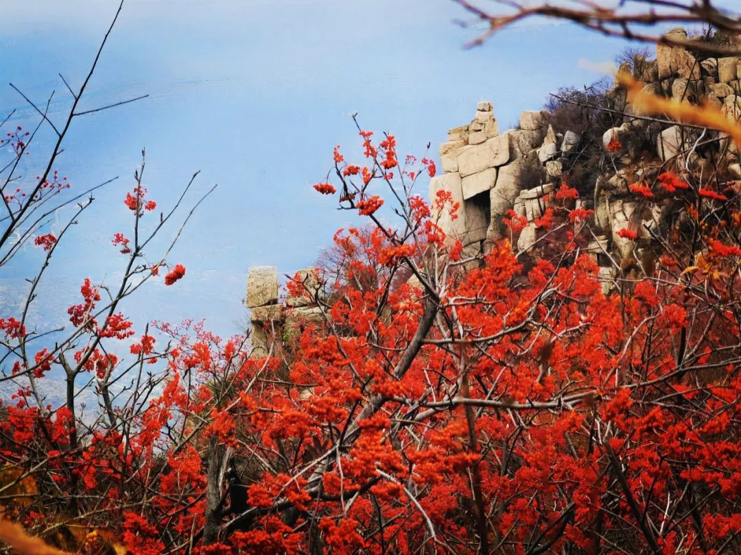 张裕酒文化博物馆住宿_张裕爱斐堡酒庄住宿_丹佛艺术博物设计师馆