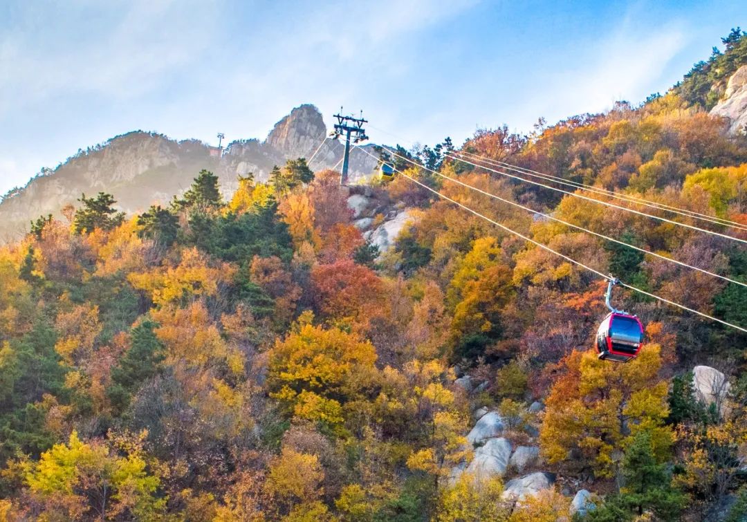 丹佛艺术博物设计师馆_张裕酒文化博物馆住宿_张裕爱斐堡酒庄住宿