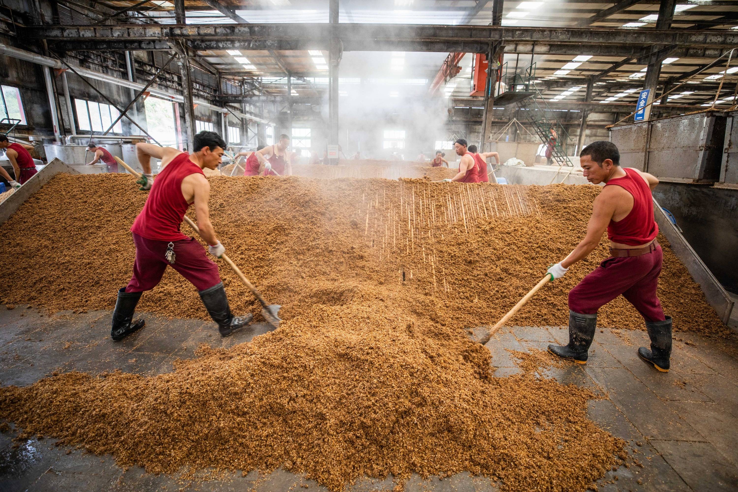 河北石家庄博物馆地酒天藏_石家庄老杜酱酒_石家庄 酒 公司