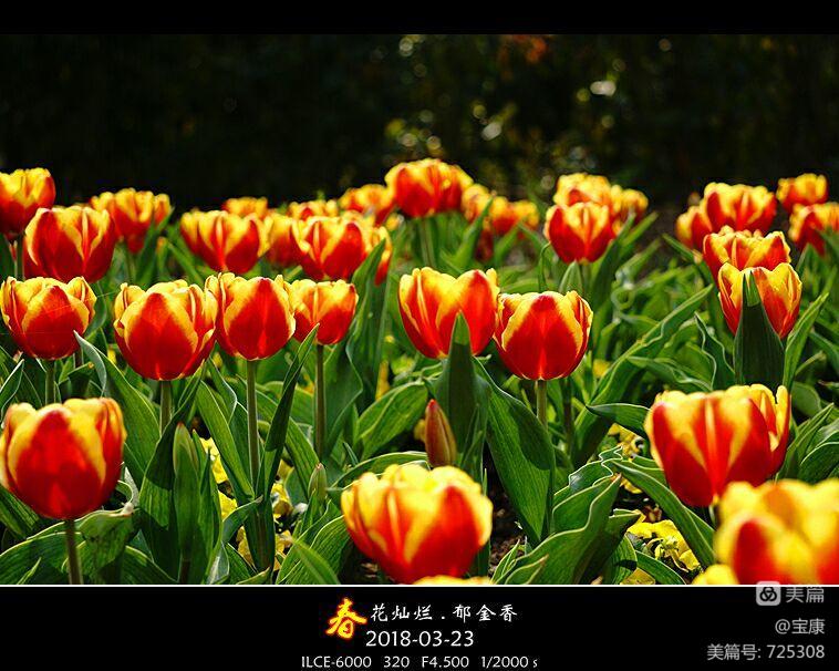 唐朝酒文化_日本唐朝文化_唐朝文化 日本