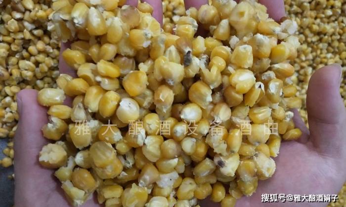 白酒标签标识管理规定_白酒标签标准_白酒标签内容