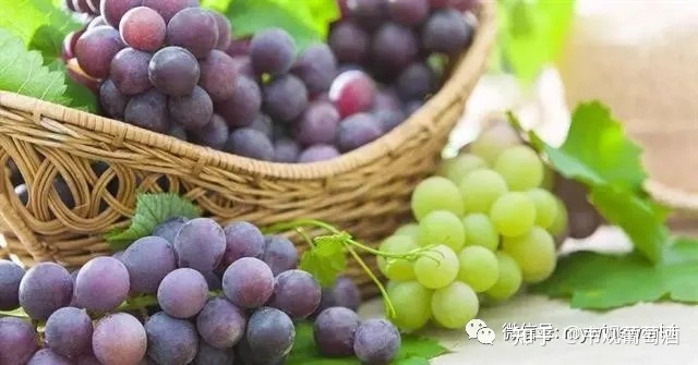 河南博物馆主馆开了吗_山西博物馆主馆造型_西域酒文化博物馆