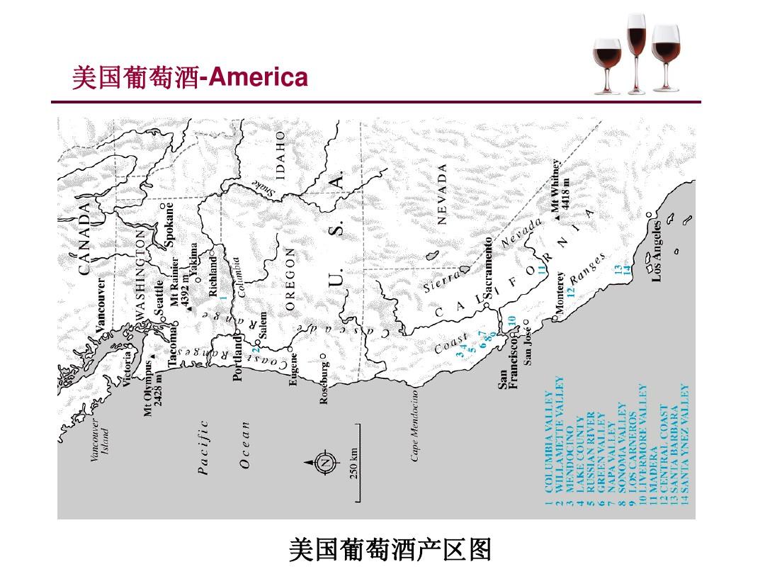 士与中国文化文档_中国倒酒敬酒文化_酒文化文档