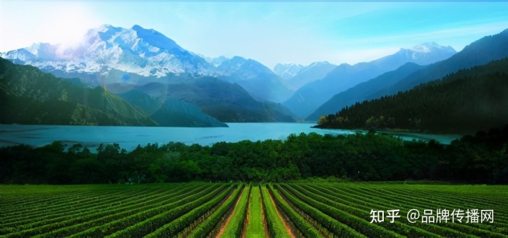 士与中国文化文档_中国倒酒敬酒文化_酒文化文档