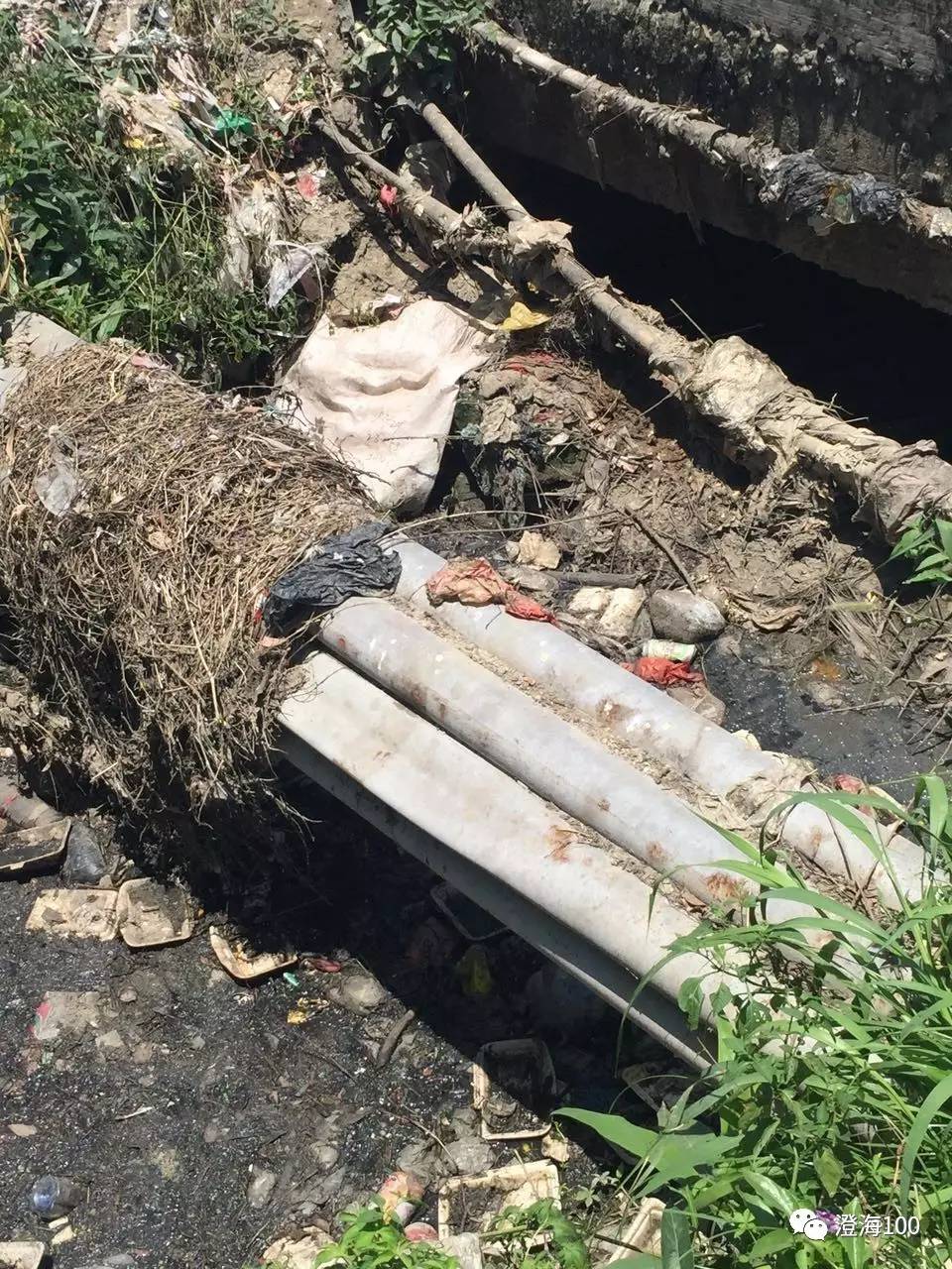 白酒氰化物含量标准_白酒乙醇含量_白酒氰化物含量标准