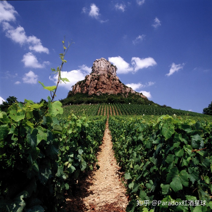 张裕馆藏百年干红_张裕酒文化博物馆馆藏百年干红葡萄酒_张裕馆藏百年干红葡萄酒价格
