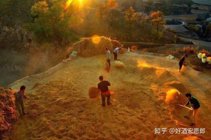 白酒包装 瓶_白酒包装标准_白酒包装标准