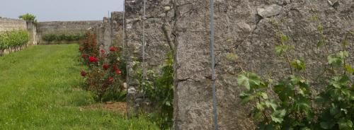 张裕酒文化博物馆馆藏百年干红葡萄酒_张裕酒文化博物馆馆藏百年干红葡萄酒_张裕馆藏百年干红礼盒