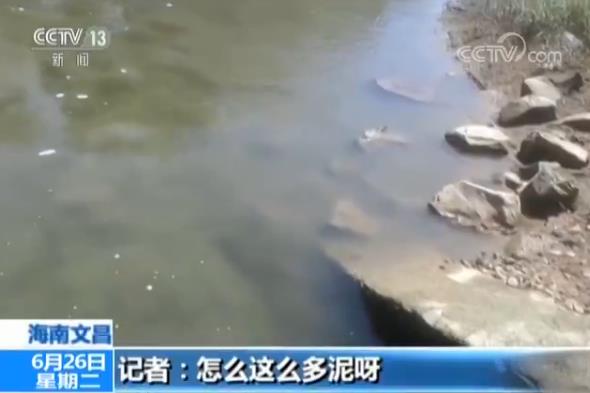 毛细管白酒专用柱气象色谱法测定白酒中甲醇的含量_白酒和啤酒的嘌呤含量_白酒氰化物含量标准