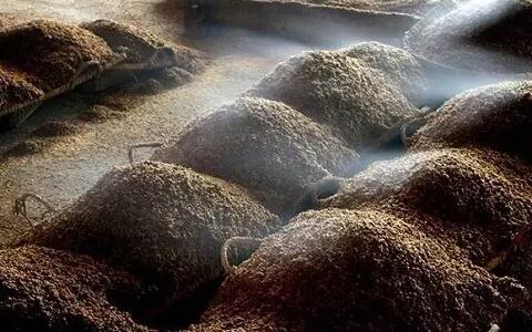 馥郁香型白酒标准_湘泉馥郁香型白酒_52酒鬼馥郁香型白酒