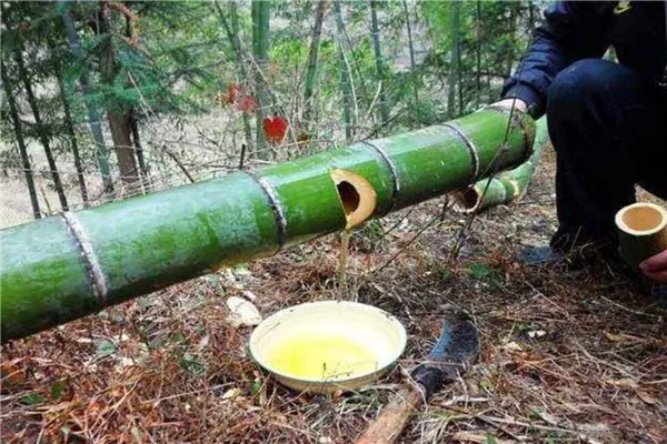 竹筒酒十大排行榜