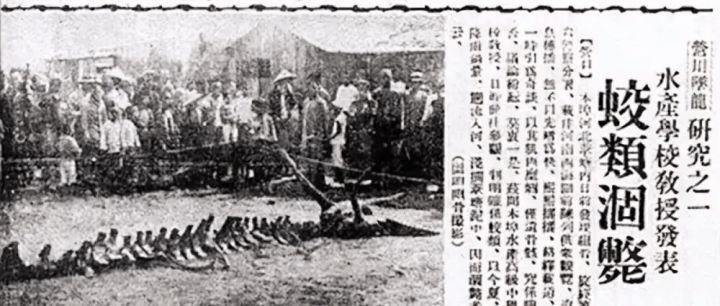 蓝至尊壹號十年绵雅型_苑草壹女装是几线品牌_蓝至尊壹号是品牌酒吗