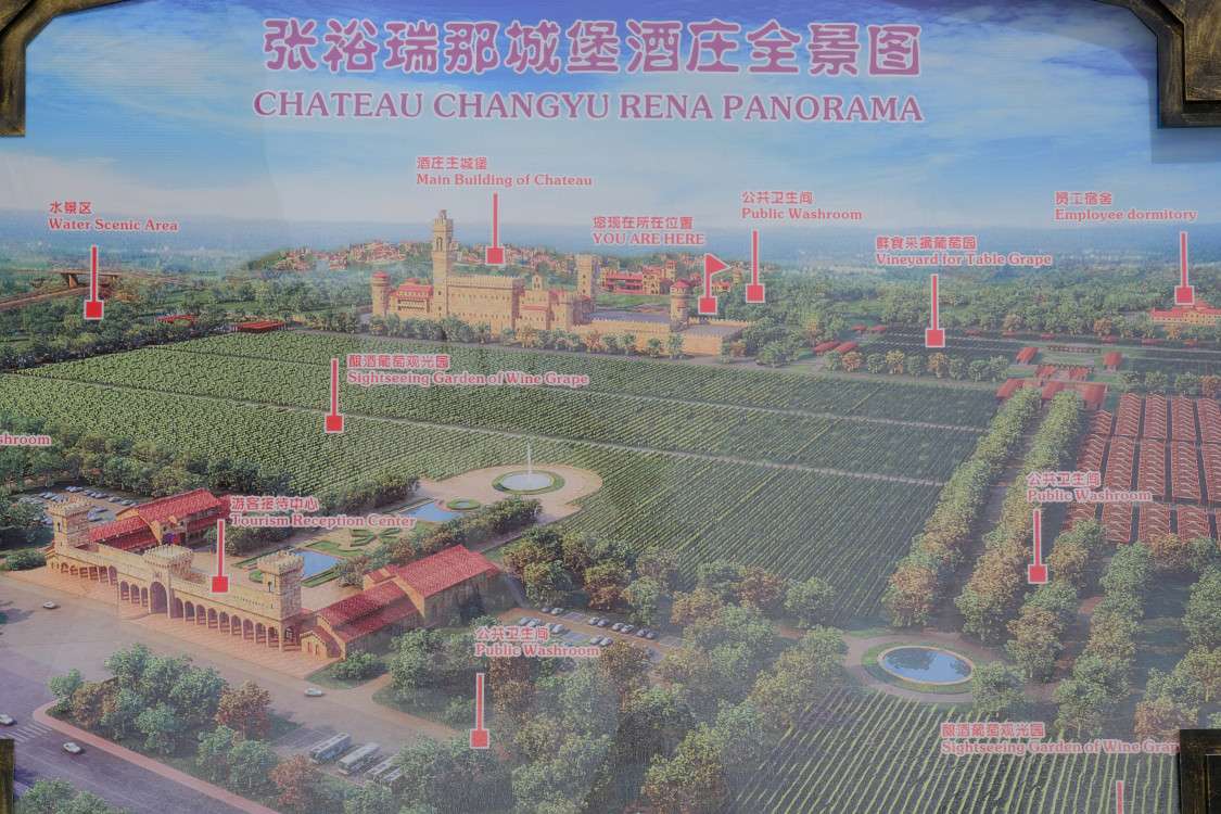 张裕酒文化博物馆干红_张裕干红葡萄酒酒先锋_张裕瑞那城堡酒庄干红怎么样