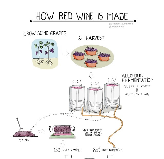 酿酒与酒文化论文_酒龙头酿酒设备_汾酒国宴酒30年陈酿酒哪能买