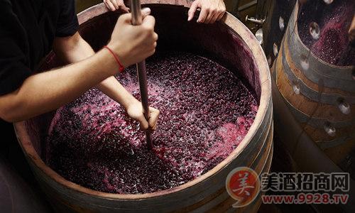 酒龙头酿酒设备_汾酒国宴酒30年陈酿酒哪能买_酿酒与酒文化论文