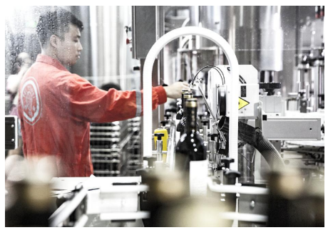 酒文化画_篮球文化酒_中国侍酒师文化研究院