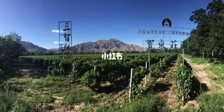 中国侍酒师文化研究院_篮球文化酒_酒文化画