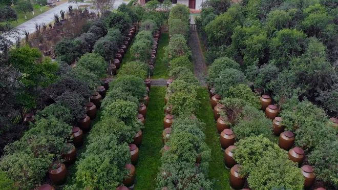 四川金六福酒业公司有没有授权安徽临水酒业有限公司_成都和谐九洲酒业有限公司_成都汇百川酒业有限公司的微信