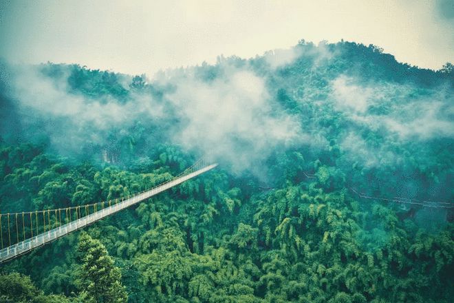 四川金六福酒业公司有没有授权安徽临水酒业有限公司_成都汇百川酒业有限公司的微信_成都和谐九洲酒业有限公司