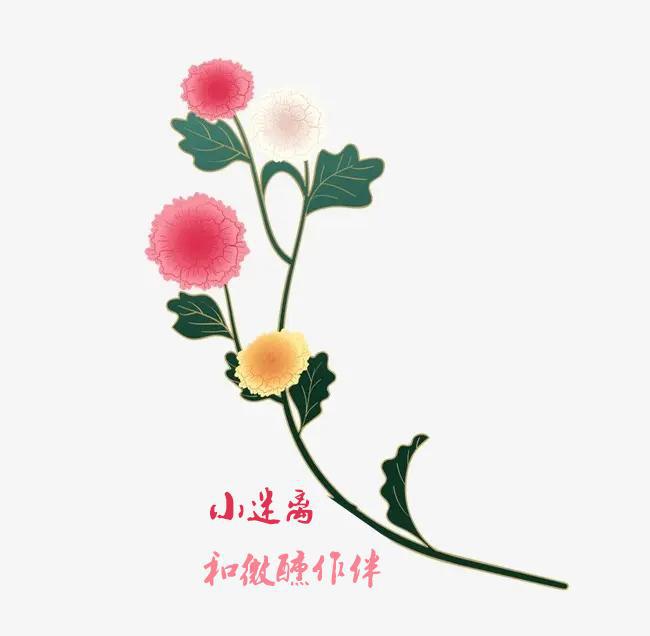 酒中杂醇油的测定_白酒塑化剂检测标准_杂醇油 白酒 标准