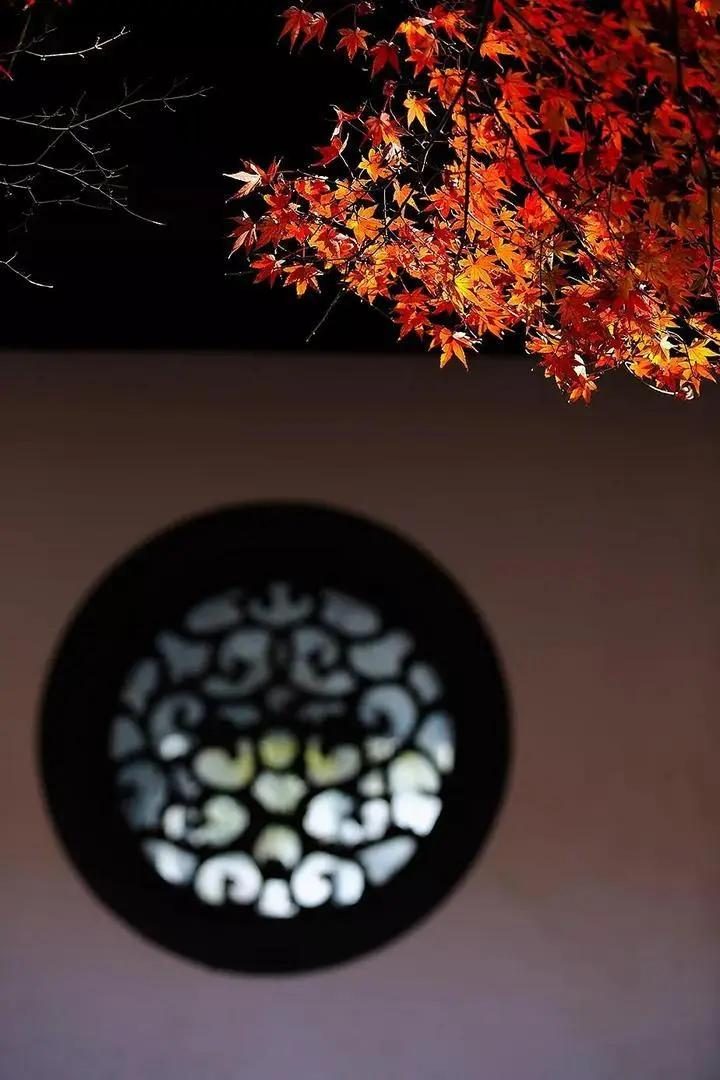 杂醇油 白酒 标准_杂醇油的利用_馥郁香型白酒 标准