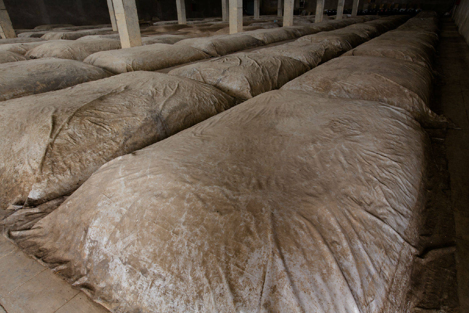 馥郁香型白酒 标准_杂醇油 白酒 标准_杂醇油的利用