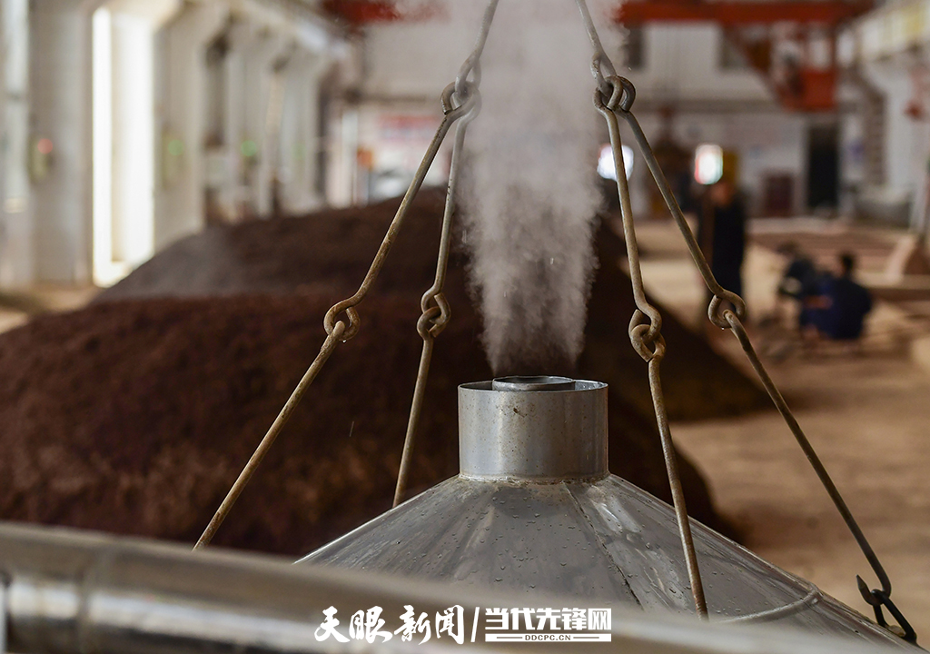 中国传统酒文化_江汉一带传统是什么文化_中国倒酒敬酒文化